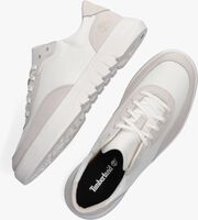 TIMBERLAND SUPAWAY L/F OX Chaussures à lacets en blanc - medium